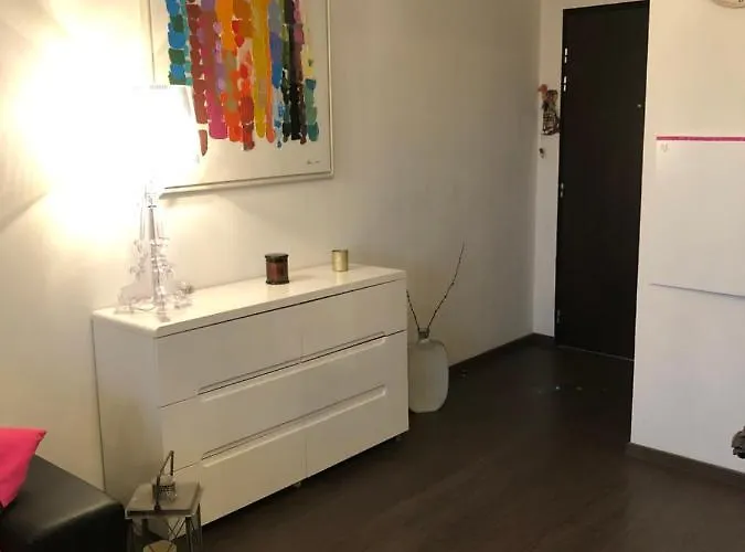 Joli T2 Recent 'le Vivaldi' 公寓 阿雅克肖